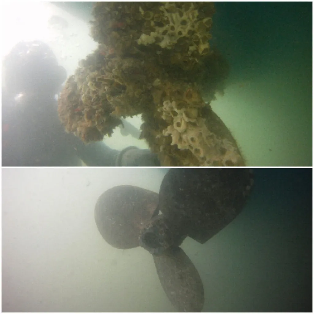 A propeller covered in marine growth beside a cleaned propeller
