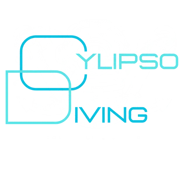 Cylipso Diving – Professional Commercial Divers