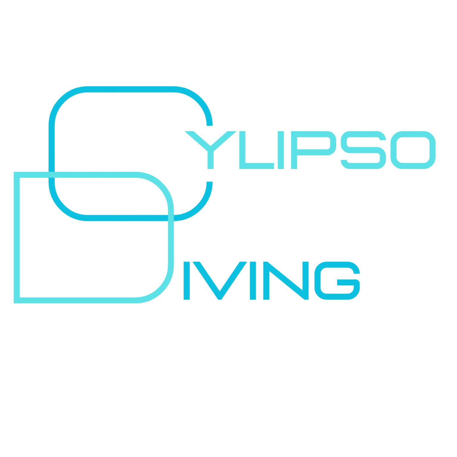 CYLIPSO DIVING - PROFESSIONAL COMMERCIAL DIVERS
