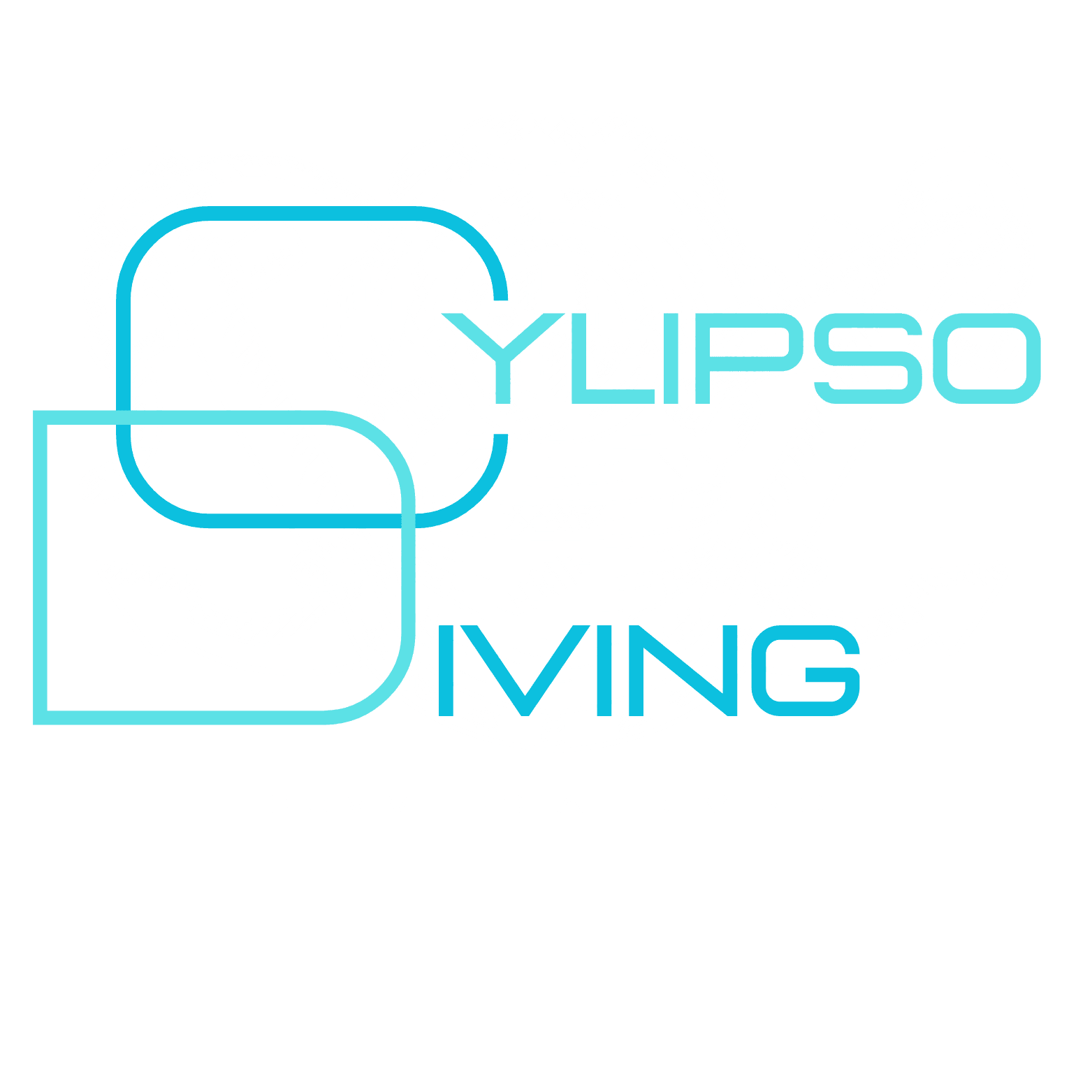 CYLIPSO DIVING - PROFESSIONAL COMMERCIAL DIVERS