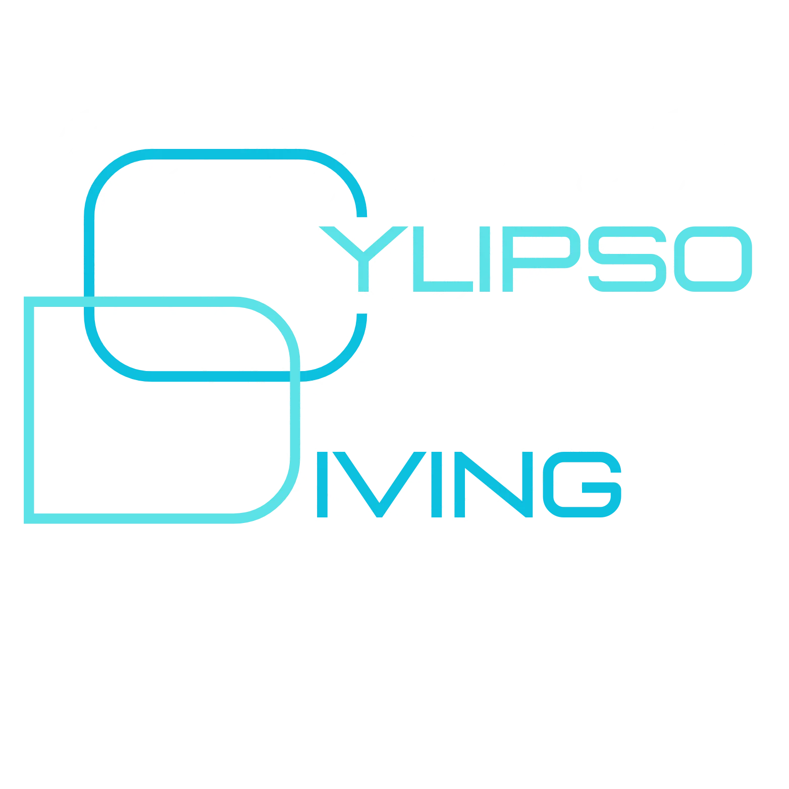 CYLIPSO DIVING - PROFESSIONAL COMMERCIAL DIVERS
