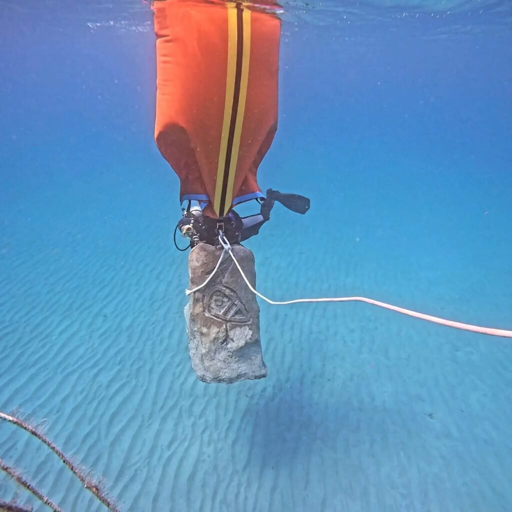Professional Diving Services in the Clear Waters of Sint Maarten