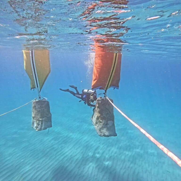 Professional Diving Services in the Clear Waters of Sint Maarten